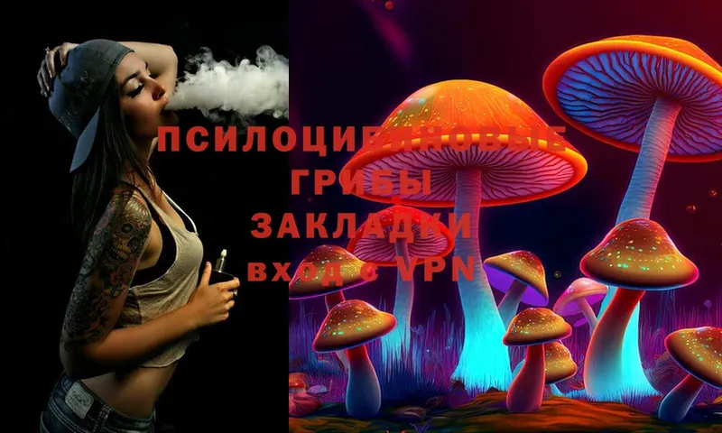 Галлюциногенные грибы Cubensis  Отрадное 